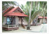 First Bungalow Beach Resort 